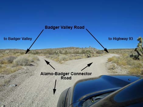 Alamo-Badger Connector Road