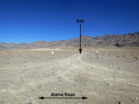 Alamo Road