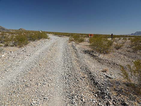 Cabin Spring Road