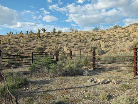 Cow Camp Corral