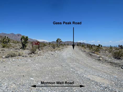 Mormon Well Road