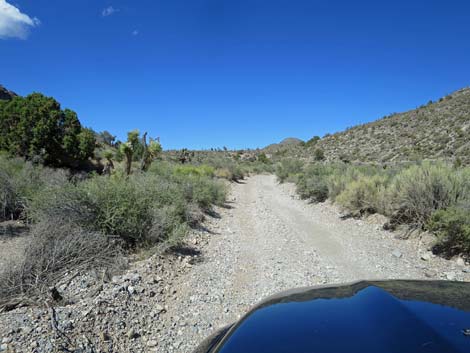 Mormon Well Road