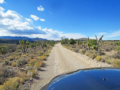 Mormon Well Road