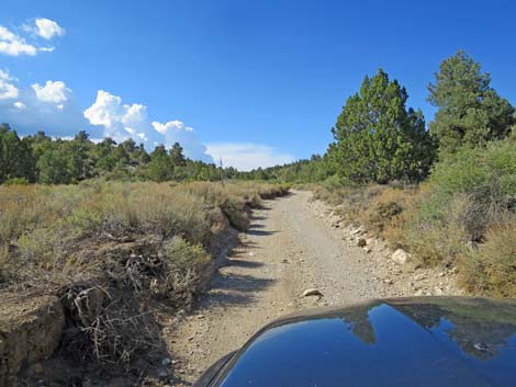 Mormon Well Road