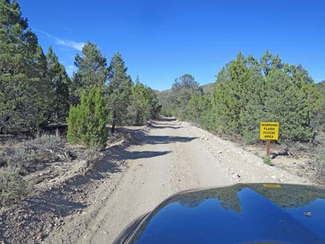 Mormon Well Road