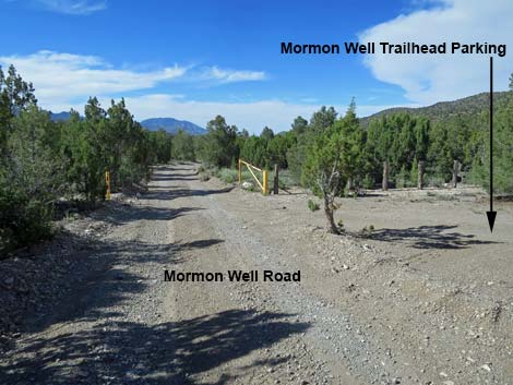 Mormon Well Road