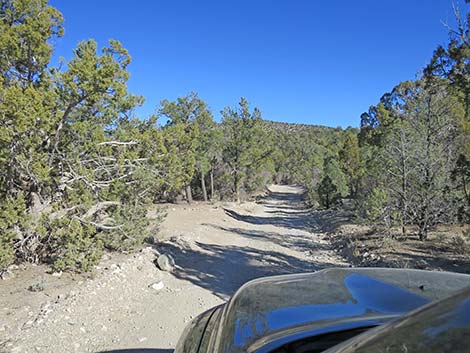 Mormon Well Road