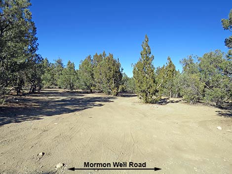 Mormon Well Road