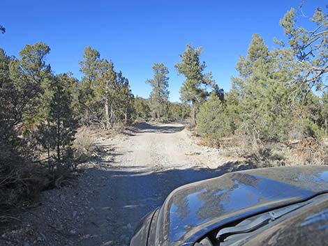 Mormon Well Road