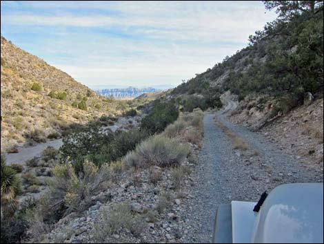 Mormon Well Road