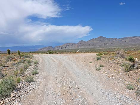 Mormon Well Road