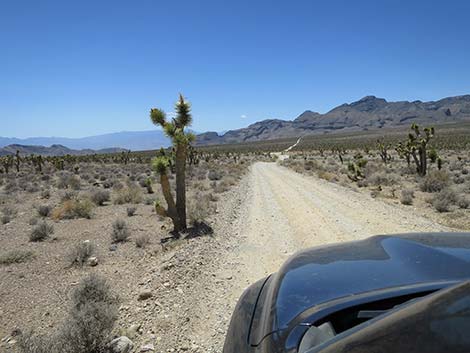 Mormon Well Road