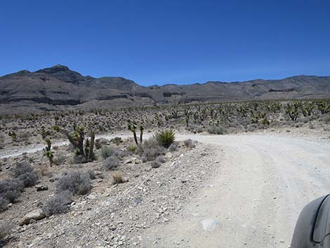 Mormon Well Road