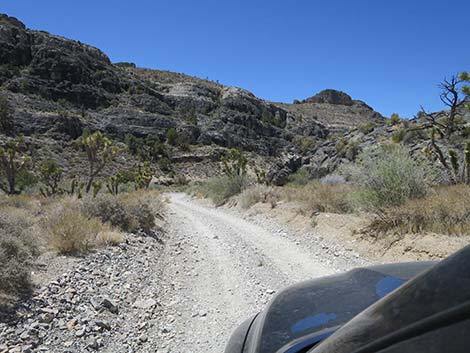 Mormon Well Road