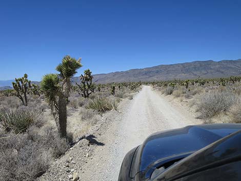 Mormon Well Road