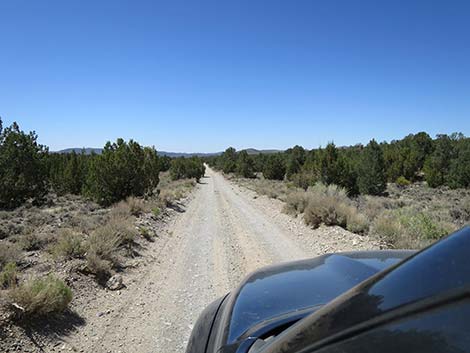 Mormon Well Road