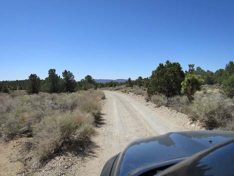 Mormon Well Road