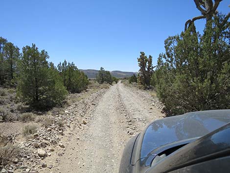 Mormon Well Road