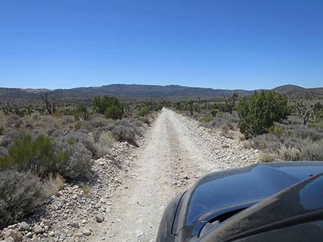 Mormon Well Road