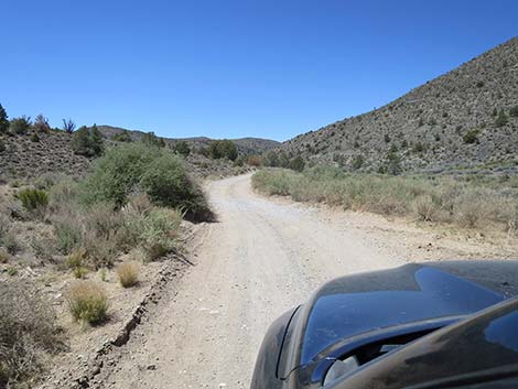 Mormon Well Road