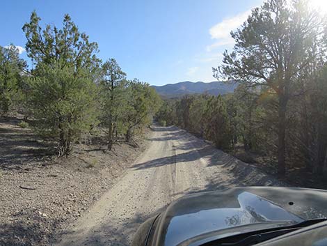 Mormon Well Road