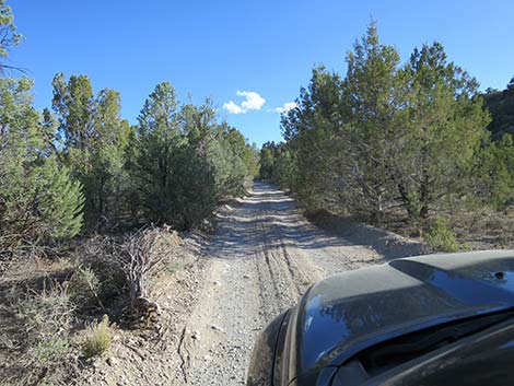 Mormon Well Road