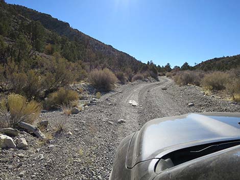 Mormon Well Road