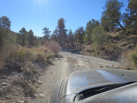 Mormon Well Road