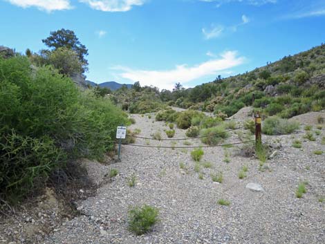 Little Sawmill Peak