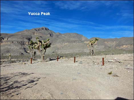 Long Canyon Trailhead