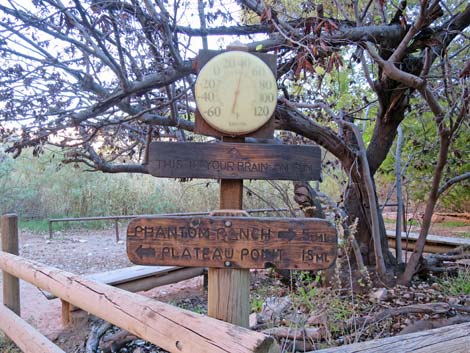 Bright Angel Trail