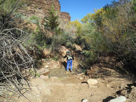 Bright Angel Trail