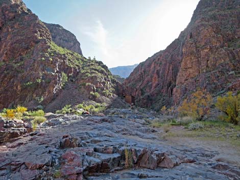 Bright Angel Trail