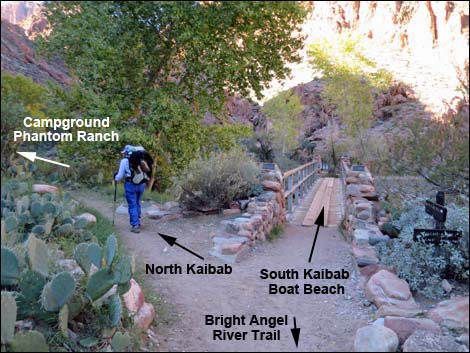 Bright Angel Trail