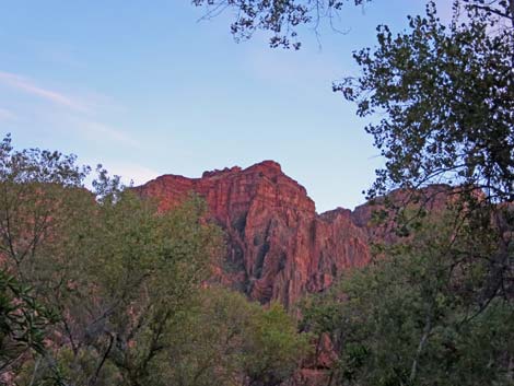 Bright Angel Trail