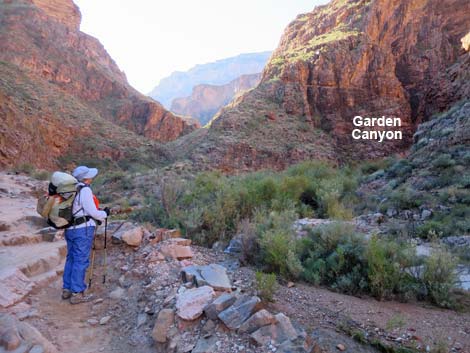 Bright Angel Trail