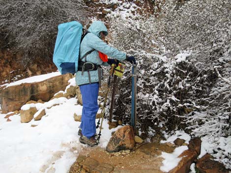 Bright Angel Trail