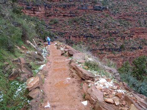 Bright Angel Trail