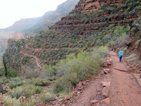 Bright Angel Trail