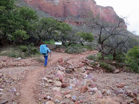 Bright Angel Trail