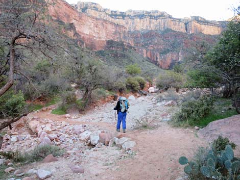 Bright Angel Trail