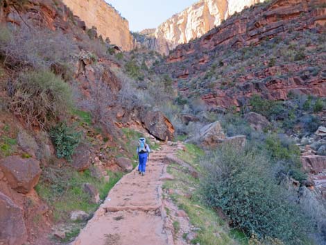 Bright Angel Trail