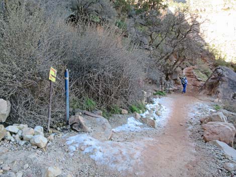 Bright Angel Trail