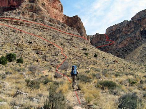 Cottonwood Trail