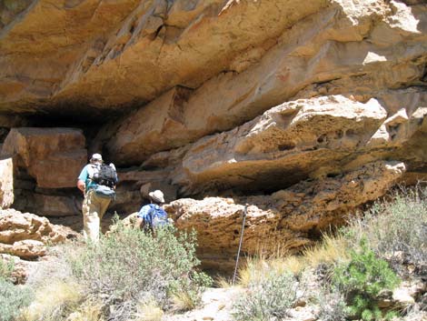 Old Cattle Trail