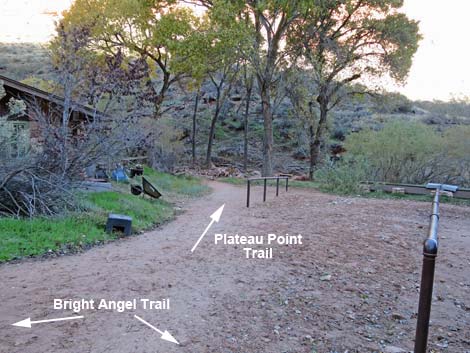 Plateau Point Trail