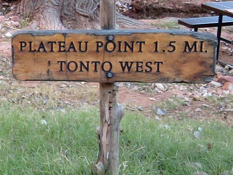 Plateau Point Trail