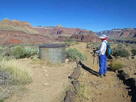 Plateau Point Trail