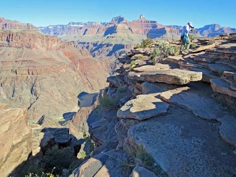 Plateau Point Trail