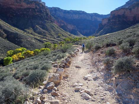 Plateau Point Trail